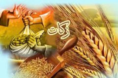 جمع آوری بیش از ۸ میلیارد ریال زکات در فراهان