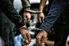 دستگیری ۲۲۳ سارق در طرح های عملیات پلیس فراهان