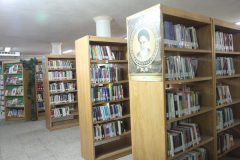 جبران کمبود کتابخانه در روستاها با راه اندازی کتابخانه سیار و مشارکتی