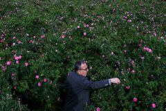 تصاویر/روستای فرُخد؛ قمصر خراسان