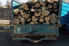 توقیف ۲ دستگاه خودروی حامل چوب در فراهان