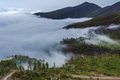 تصاویر/جنگل زیبای اولنگ بر فراز اقیانوسی از ابر‌ها