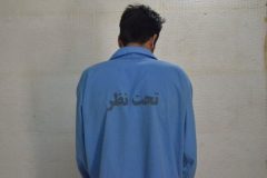 سارق سابقه دار در فراهان دستگیر شد