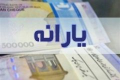 افزایش قیمت کالاهای اساسی و چالش کسری تبصره ۱۴/ چرا امکان افزایش یارانه نقدی وجود ندارد؟