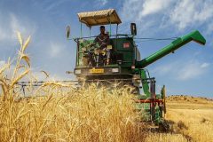 اجرای قانون خرید تضمینی گامی بلند در مسیر خودکفایی محصولات اساسی