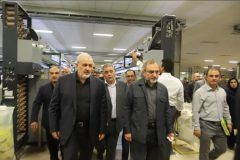 پیام دولت توسعه ظرفیت‌های تولیدی، صنعتی و اشتغال است/ استعداد صنعتی خوبی در فراهان وجود دارد