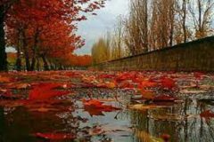 هفته آینده هیچ نقطه‌ای بدون بارش نخواهد بود