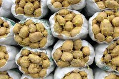عرضه سیب زمینی به بازار از محل ذخایر سازمان مرکزی تعاون روستایی