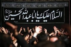 محرم میدان همدلی و وحدت است