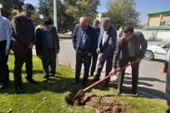 برگزاری پویش نهالکاری در گلزار شهدای گمنام شهرستان فراهان