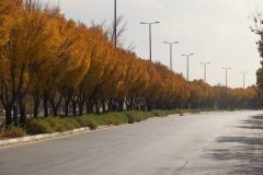 زیبایی فصل پاییز در شهر فرمهین