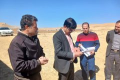 اختلاف در واحد تولید دام سنگین فراهان با ورود دستگاه قضایی به صلح انجامید